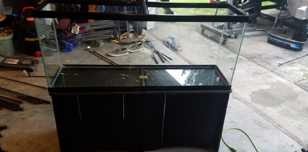 Build Thread - Rodney's First Ever Build and its Going to be a Reef ...