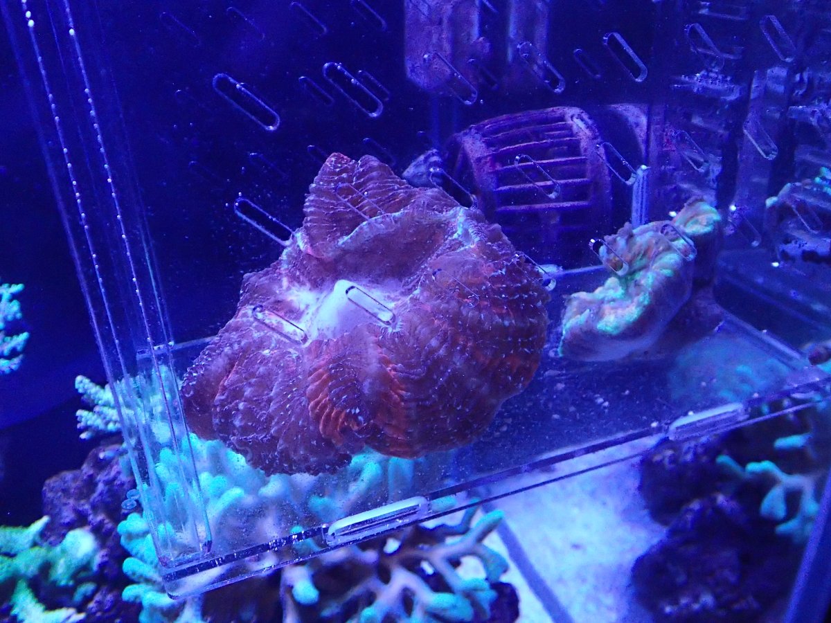 PB020436.JPG