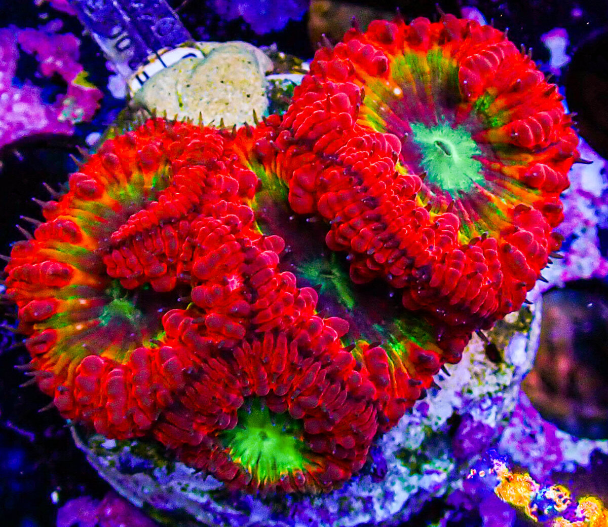 PB060635.jpg