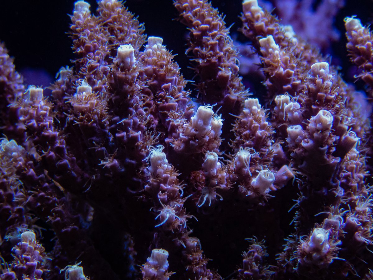 PB070176.jpg