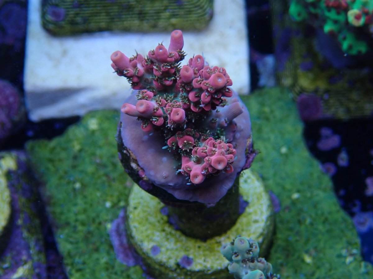 PB114182.JPG
