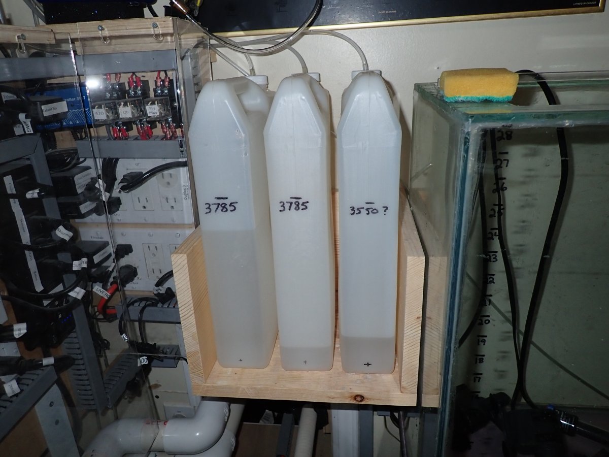 PB130097.JPG