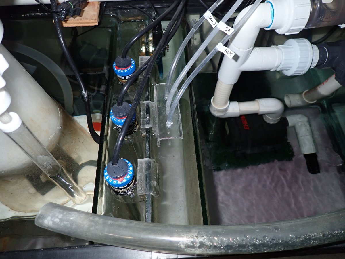 PB130099.JPG