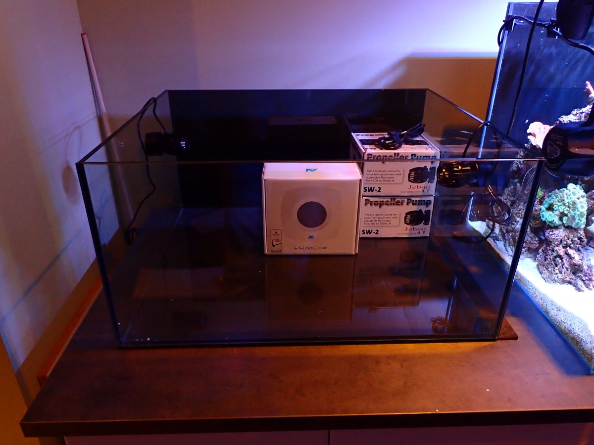 PB170473.JPG
