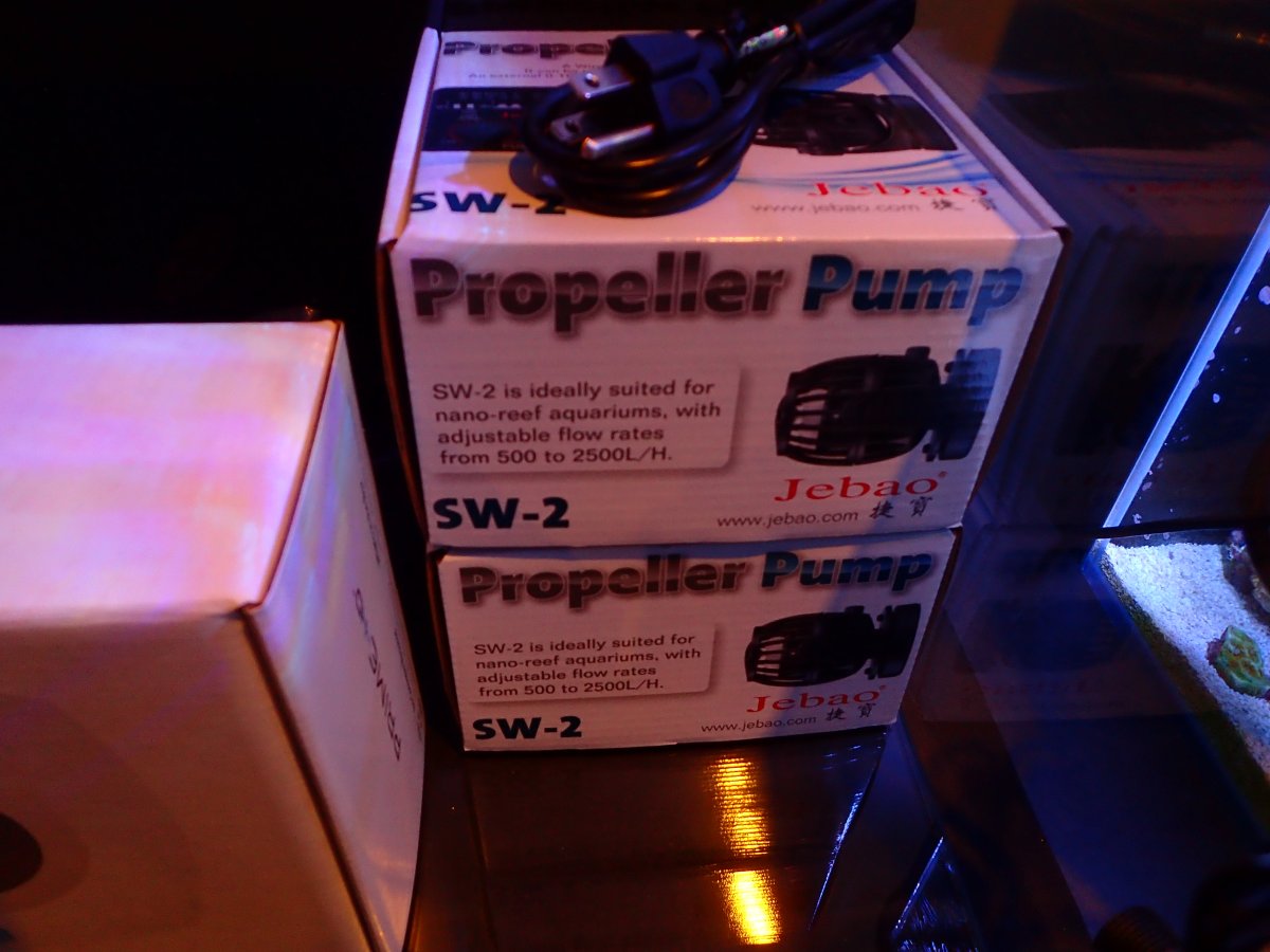 PB170474.JPG