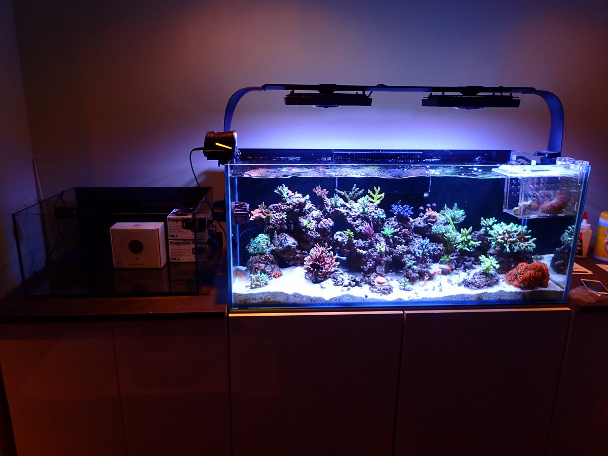 PB170476.JPG