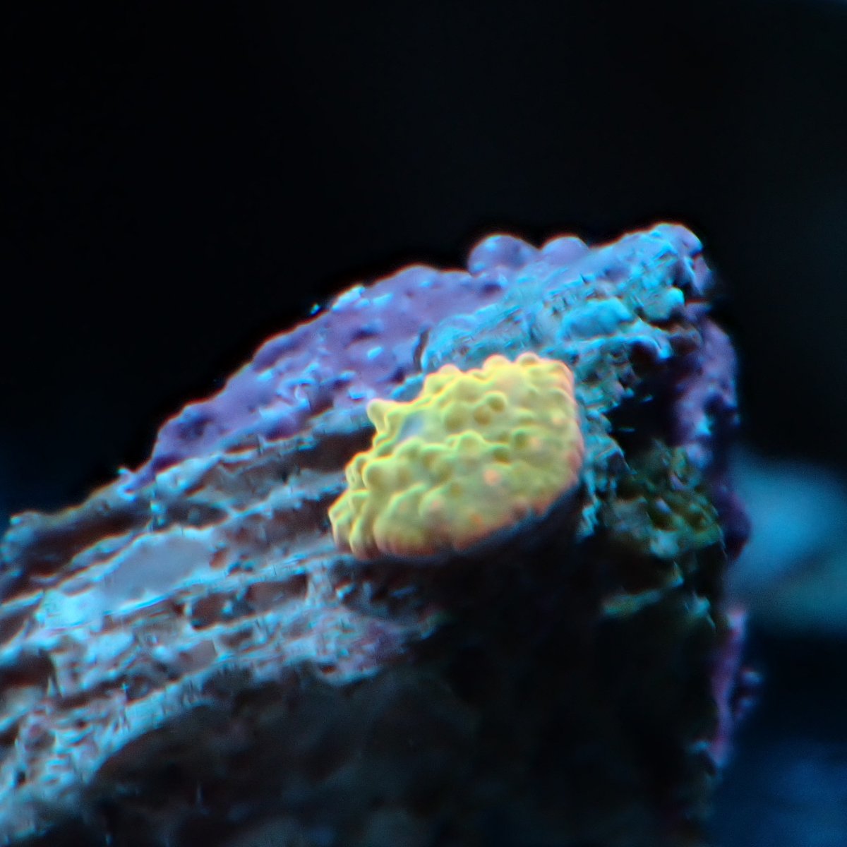 PB260316.JPG