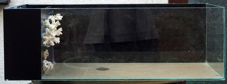 PB281407.jpg