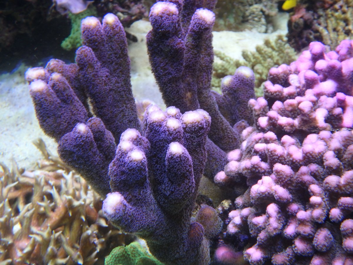 PC020101.JPG