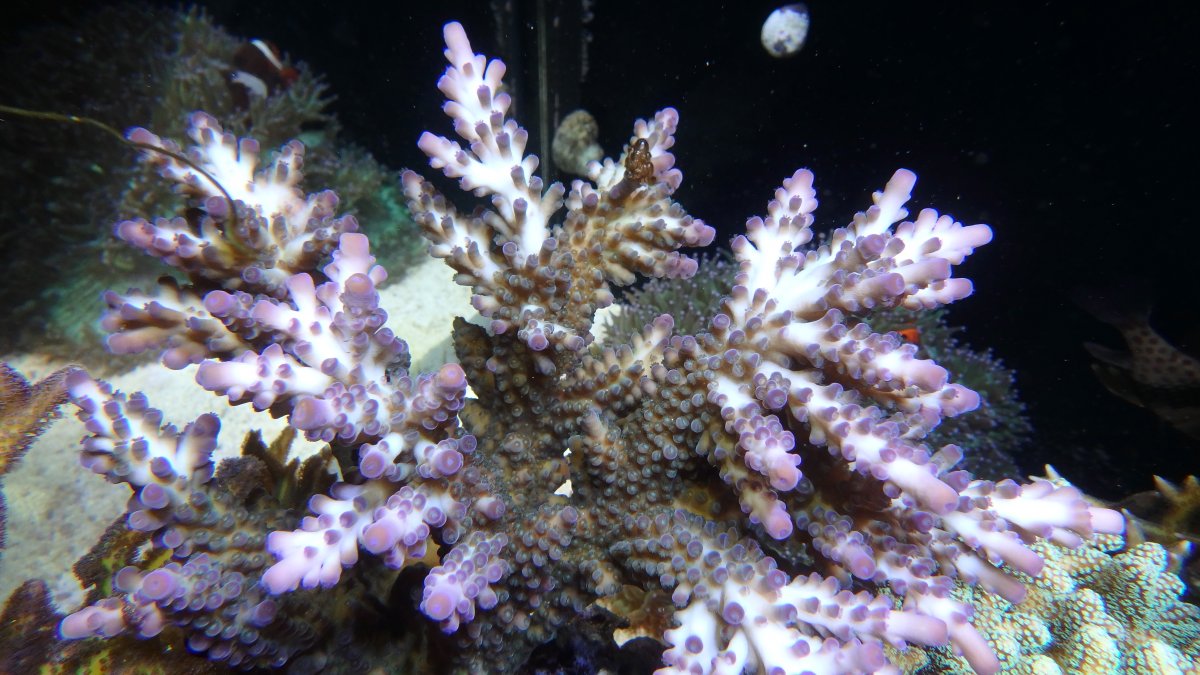 PC080022.JPG