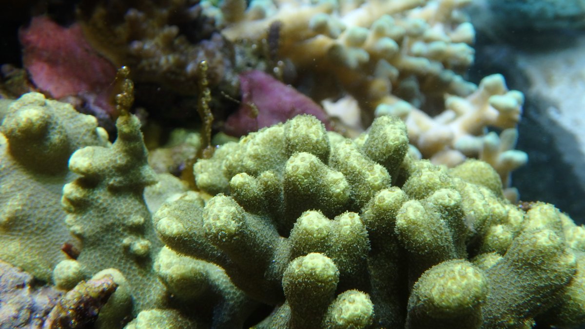 PC080041.JPG