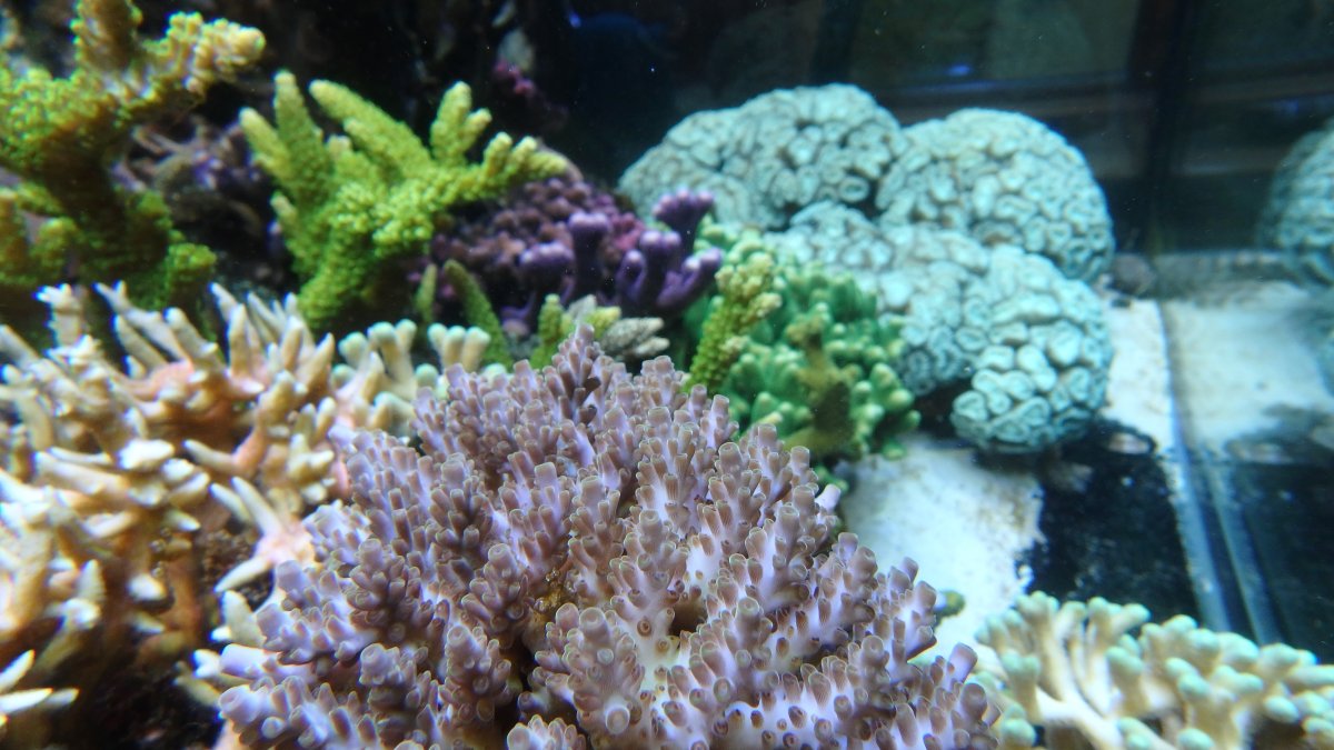 PC080044.JPG