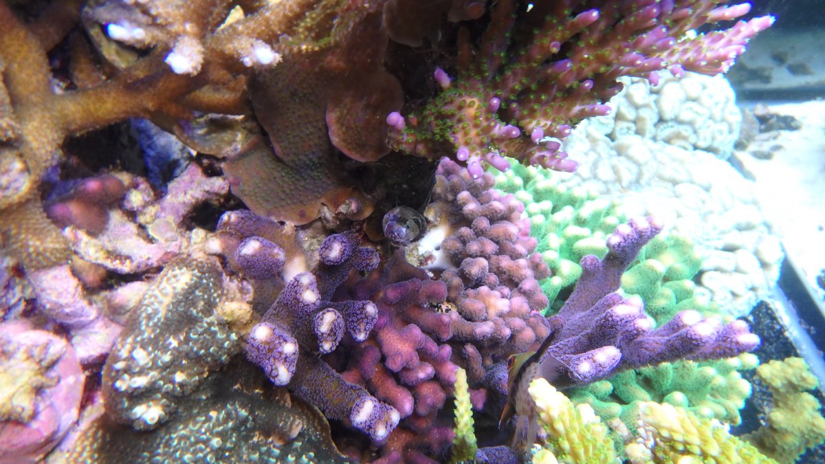 PC080047.JPG
