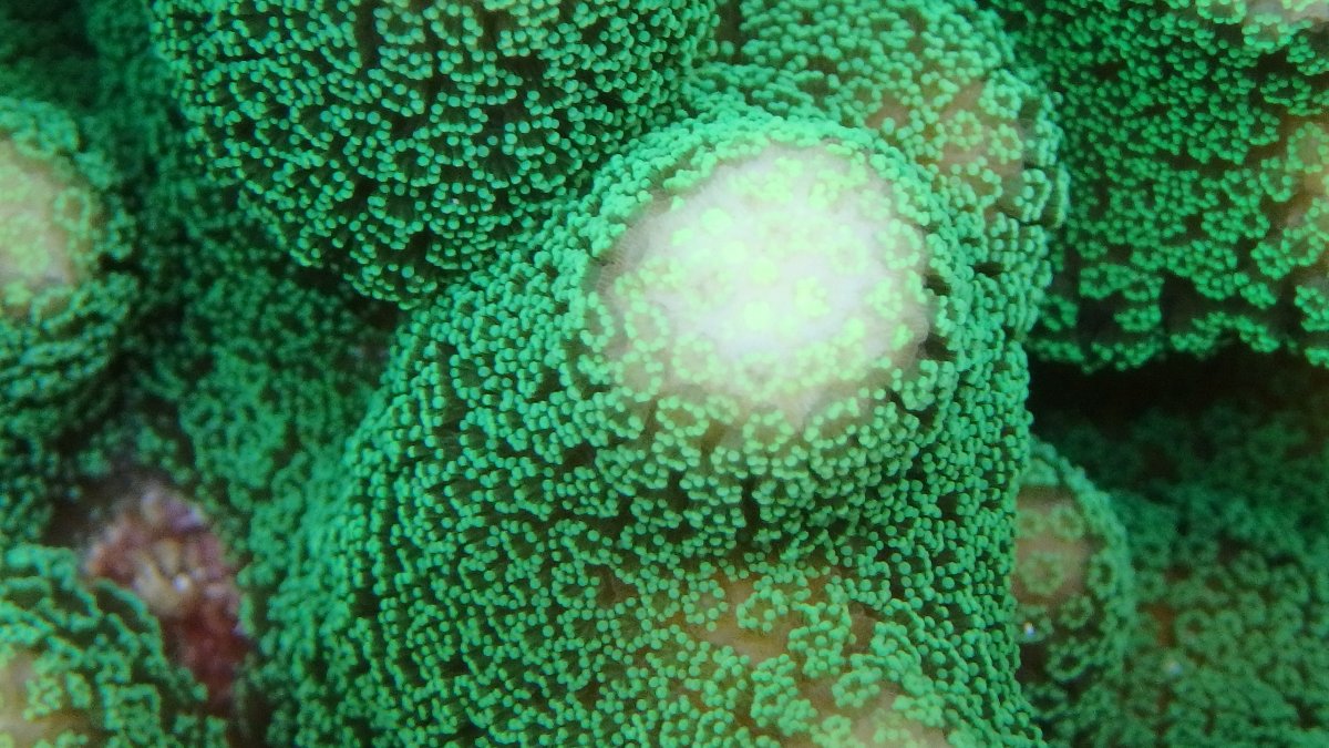 PC080051.JPG
