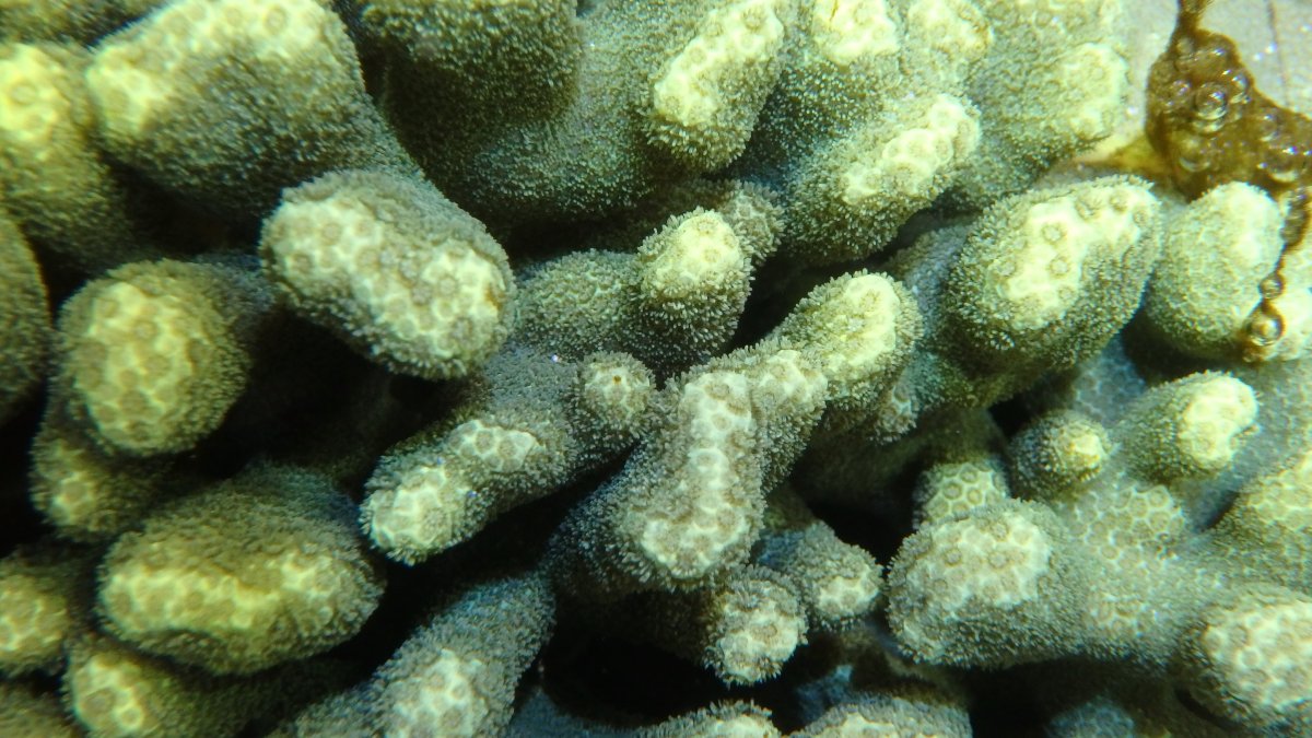 PC080058.JPG