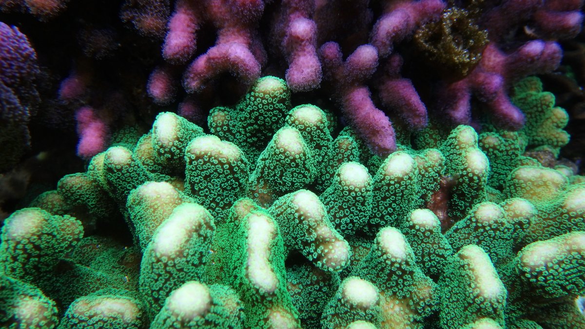 PC080074.JPG