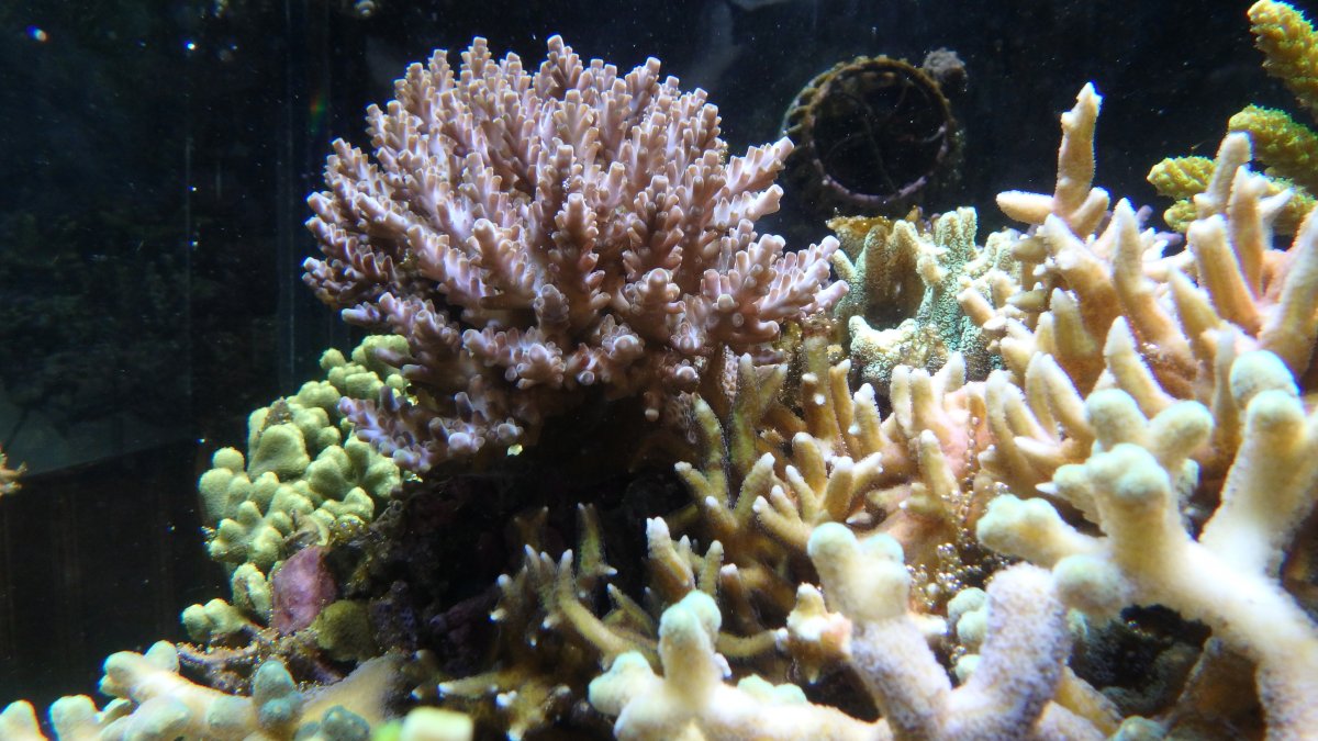 PC080077.JPG