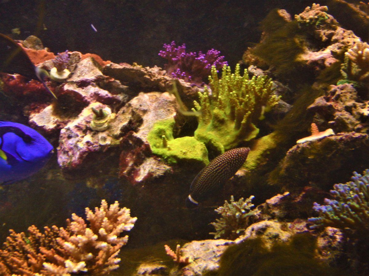 PC120244.JPG
