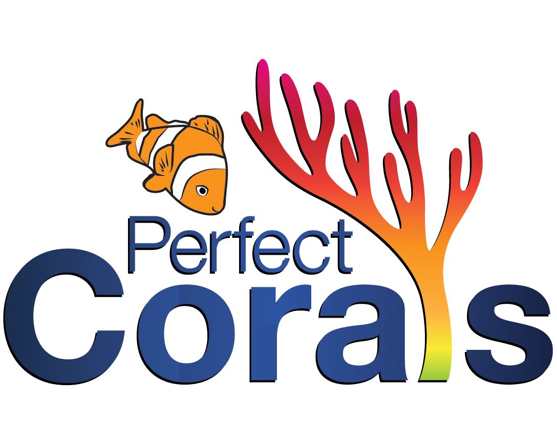 Perfect Corals.png