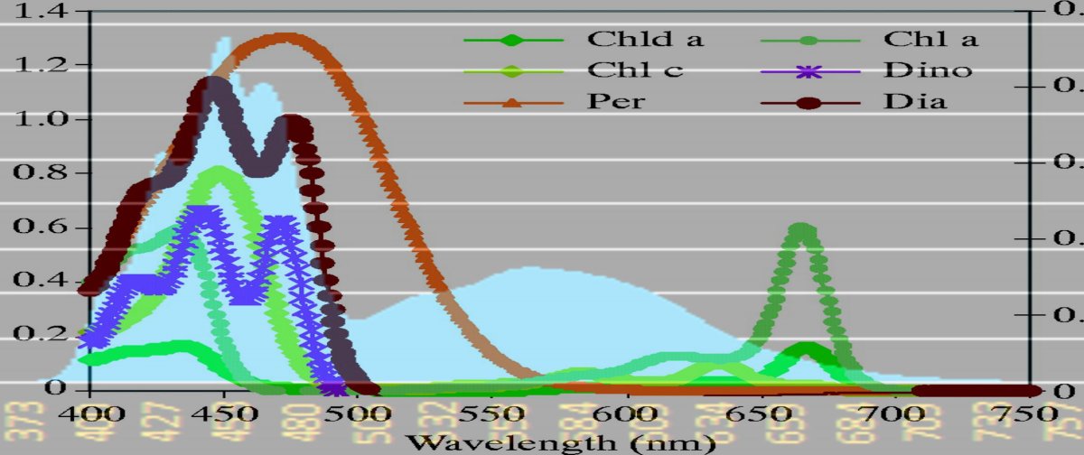 peridchart.jpg