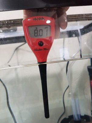 PH.jpg