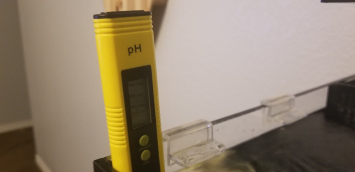 pH1.jpg