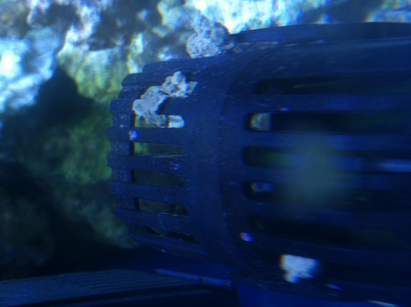 photo-13.jpg