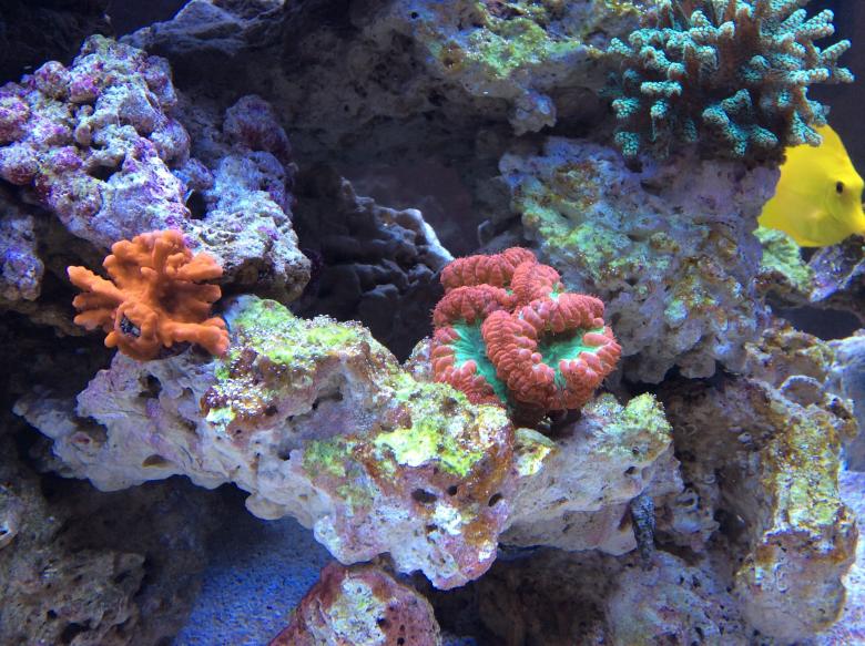 photo 2.jpg