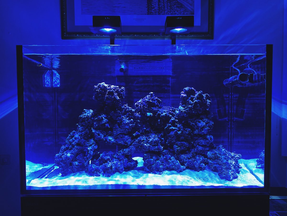 photo.jpeg