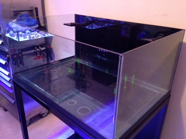 New 60 gal rimless tank with metal stand in Nashville Tn. | Reef2Reef