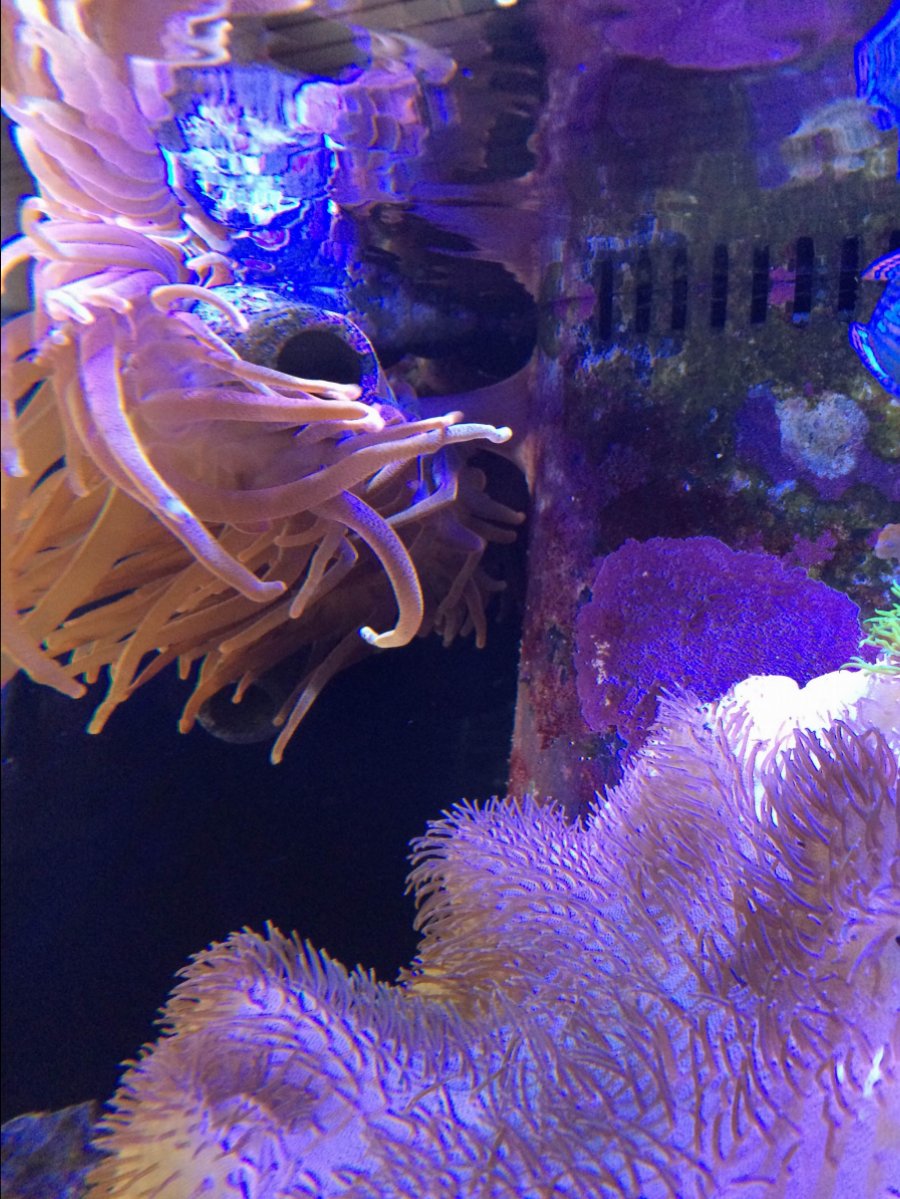 photo3.jpg