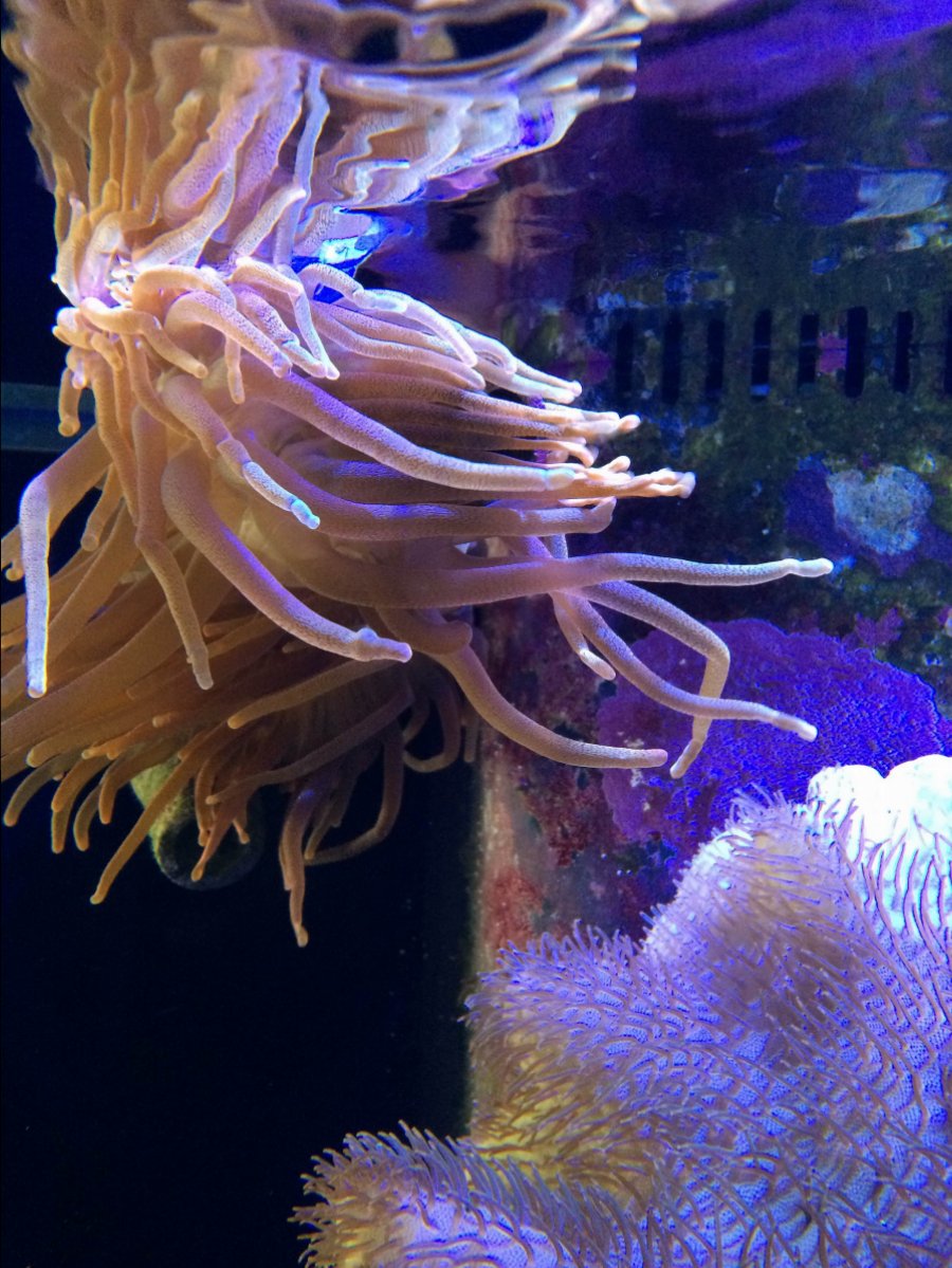 photo4.jpg