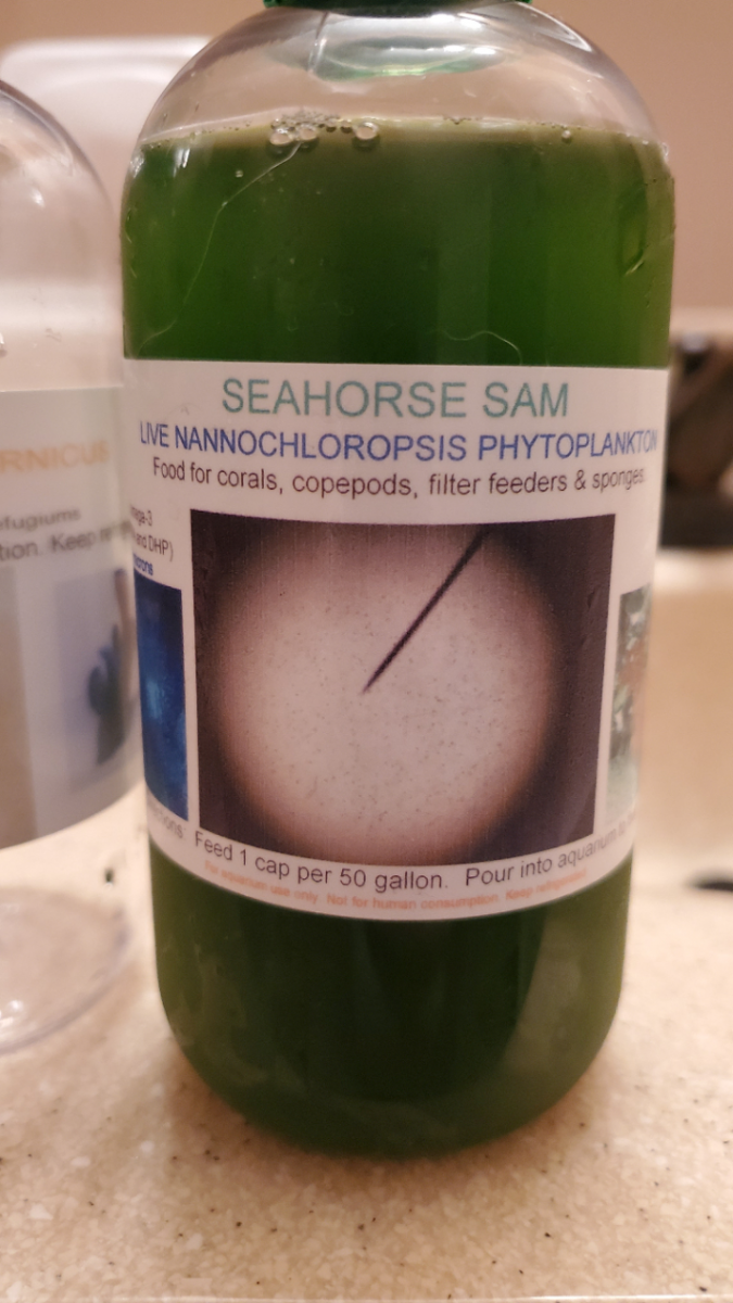 Phyto.png