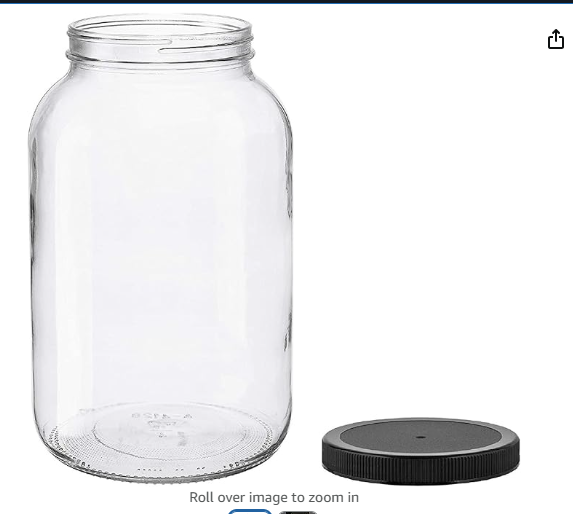 PHYTO R2R 1.png