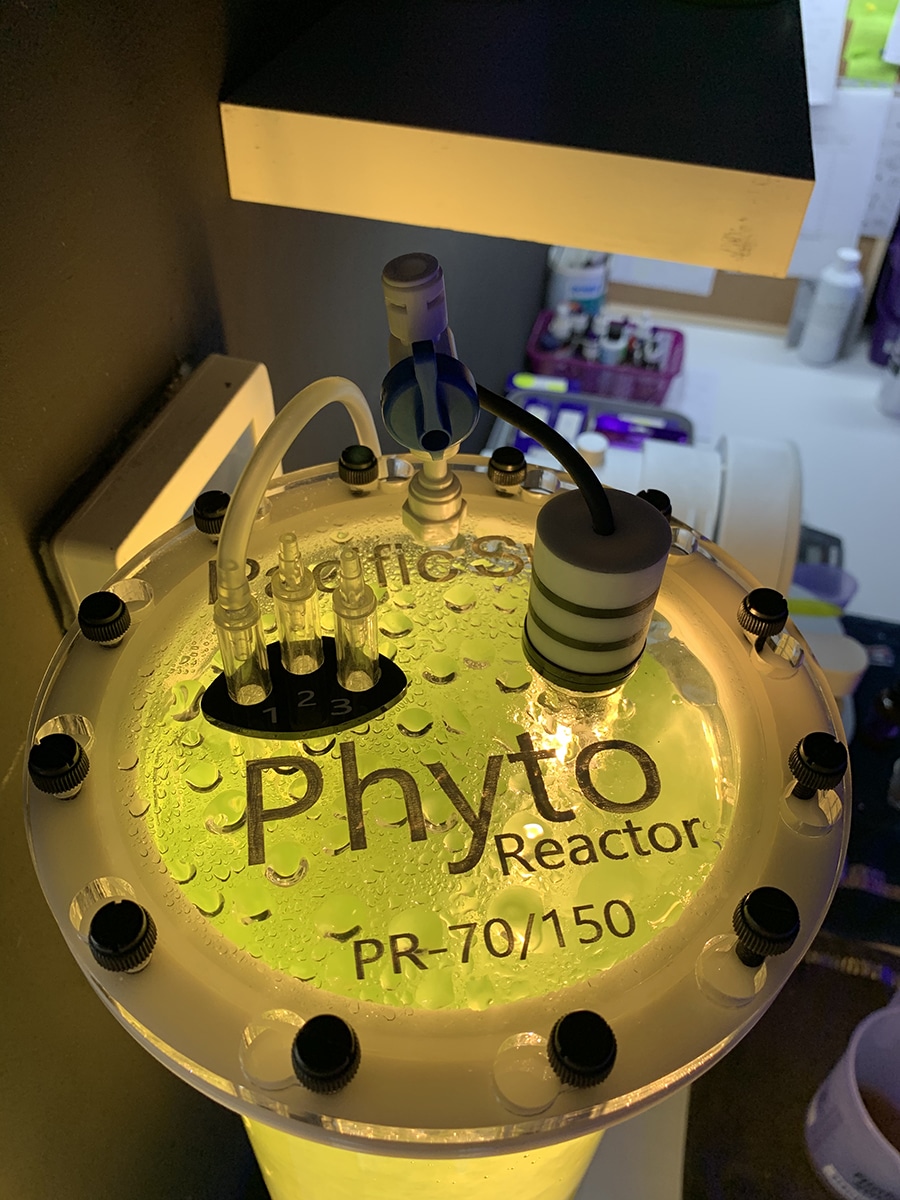 phyto reactor 2.jpg