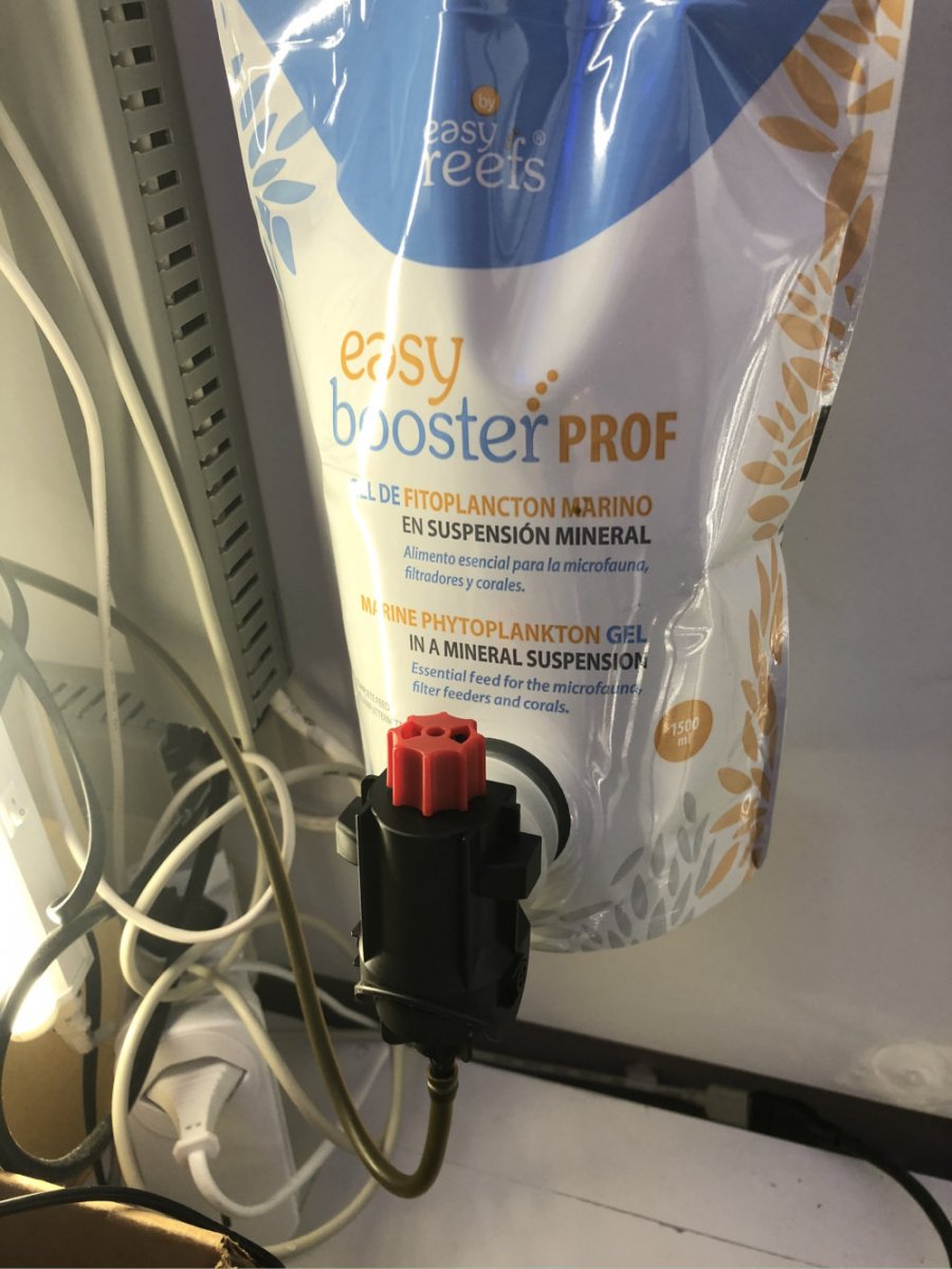 phyto setup.jpeg