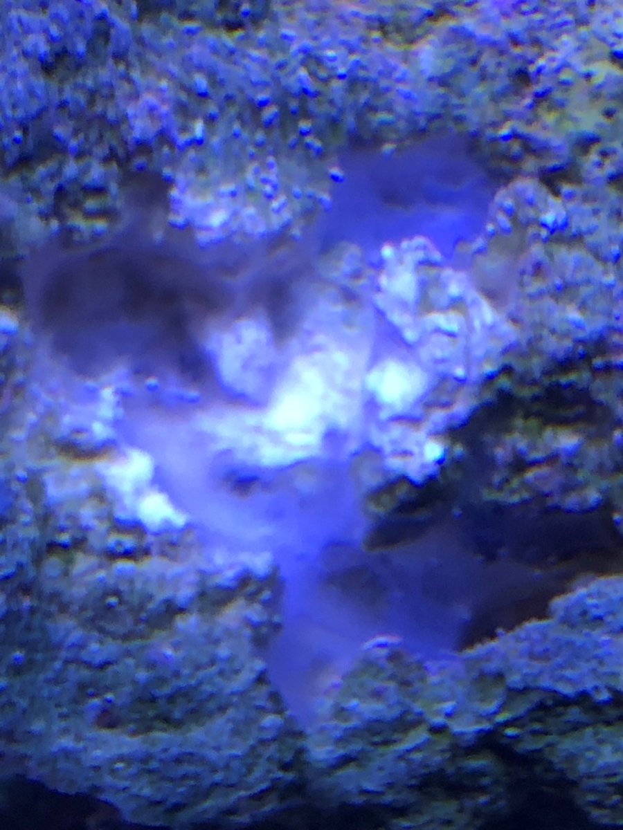 Pic 1.jpg