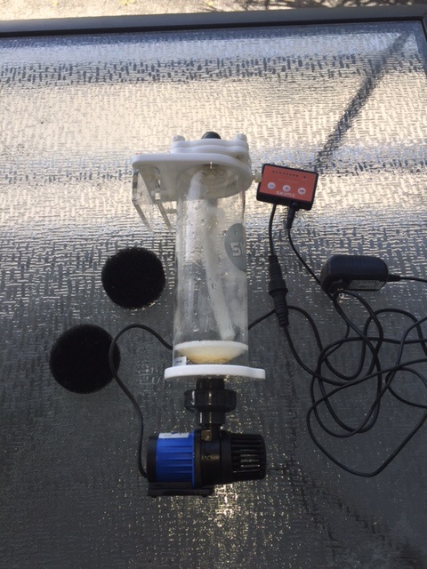 Pic 1.jpg