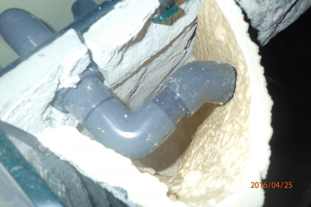 pic 15.jpg