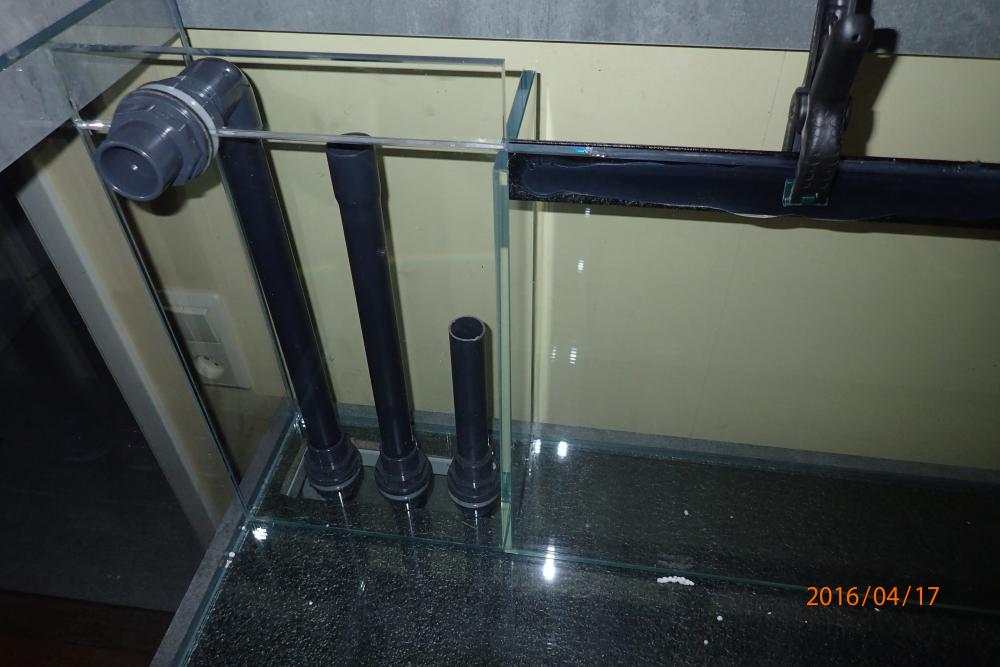 pic 7.jpg