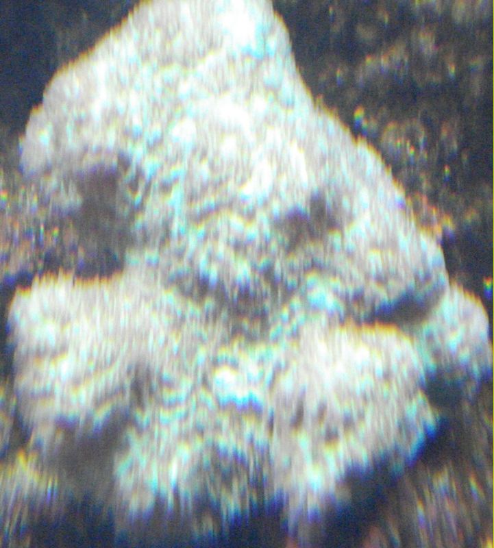 Picture 023.jpg