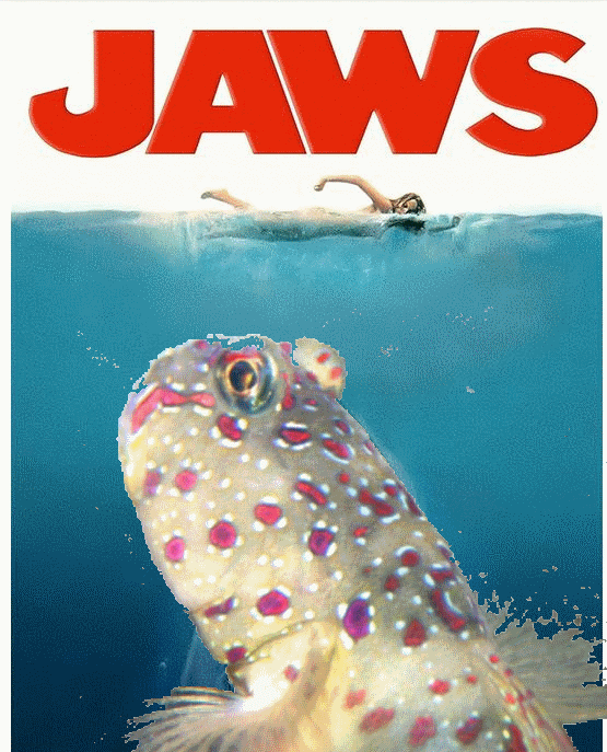 PinkSpotJaws.gif