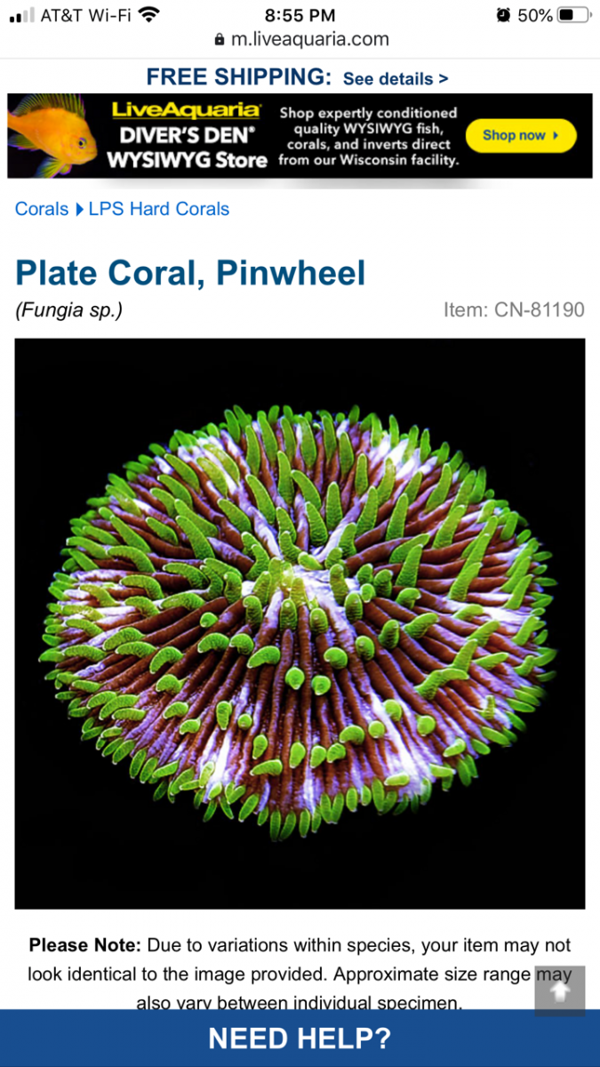 Pinwheel.png