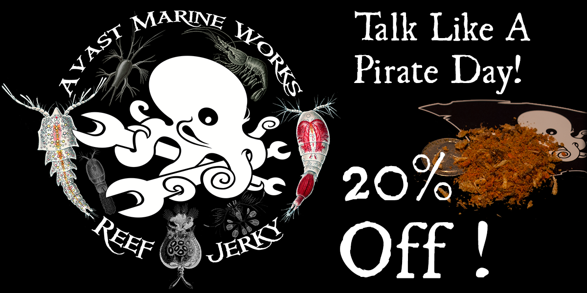 pirate day sale3.png