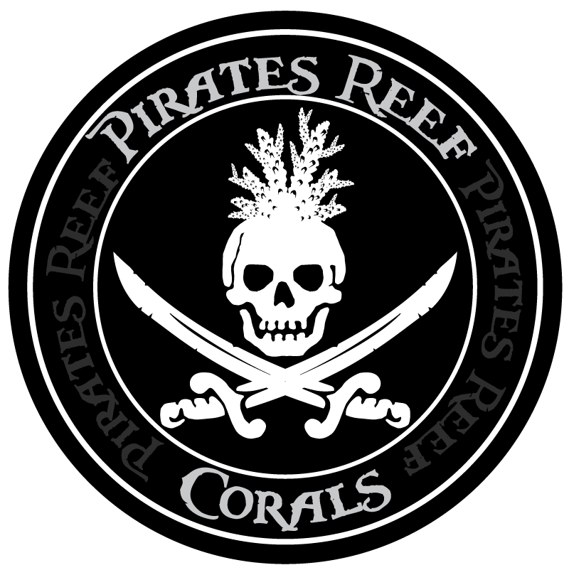Pirates Reef.png