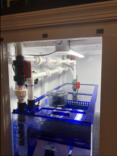 PLumbing.jpg