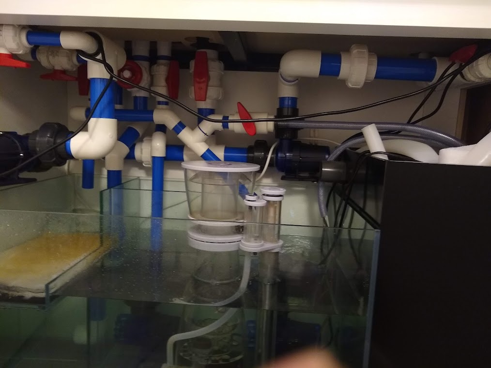Plumbing.jpg