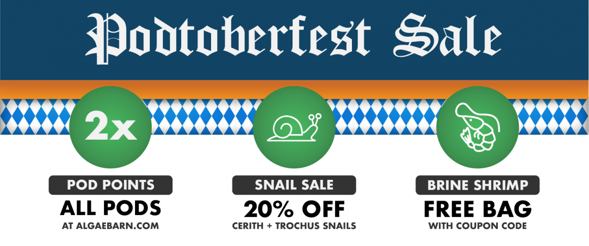 Podtoberfest Sale Web Banner.png