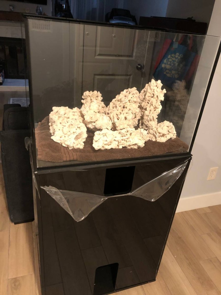 poop.jpg