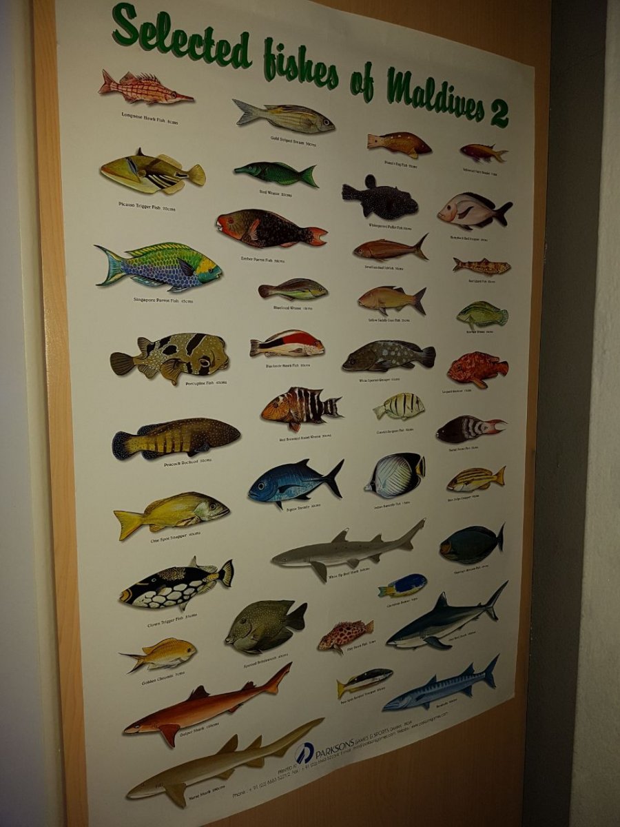 poster 2.jpg